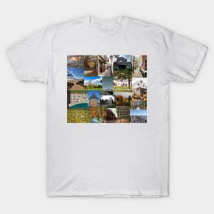 connecticut aesthetic collage T-Shirt